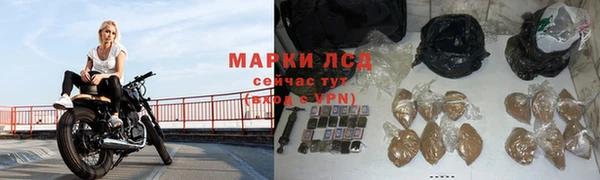 мяу мяу мука Магадан