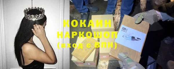стафф Новозыбков
