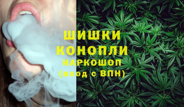 сатива Костерёво
