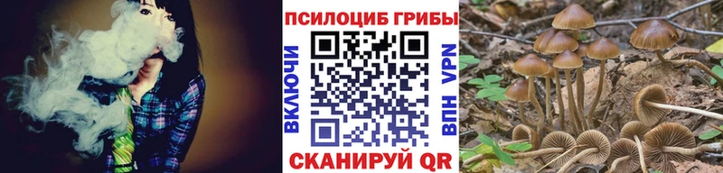 Галлюциногенные грибы ЛСД  как найти   Кола 