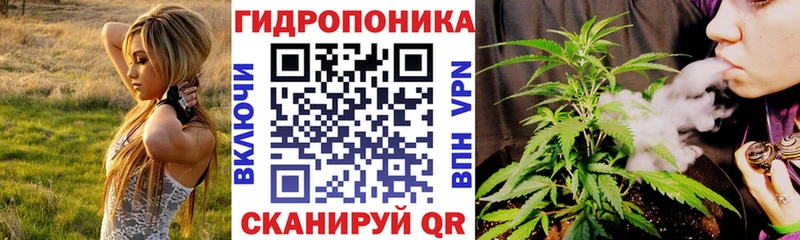 Бошки Шишки MAZAR  Кола 